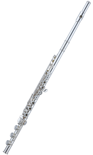 Aidis PA-18